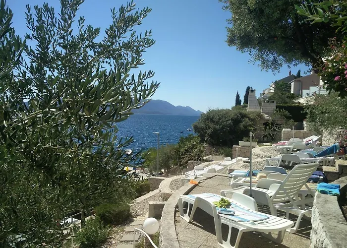 Mediteraneo 클레크