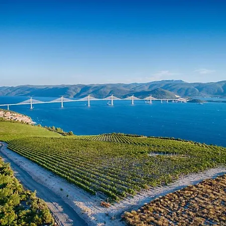 Mediteraneo