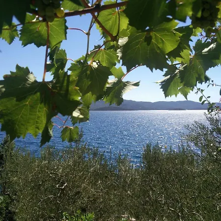 Mediteraneo *