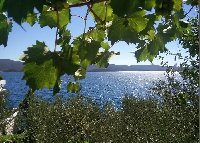Mediteraneo *